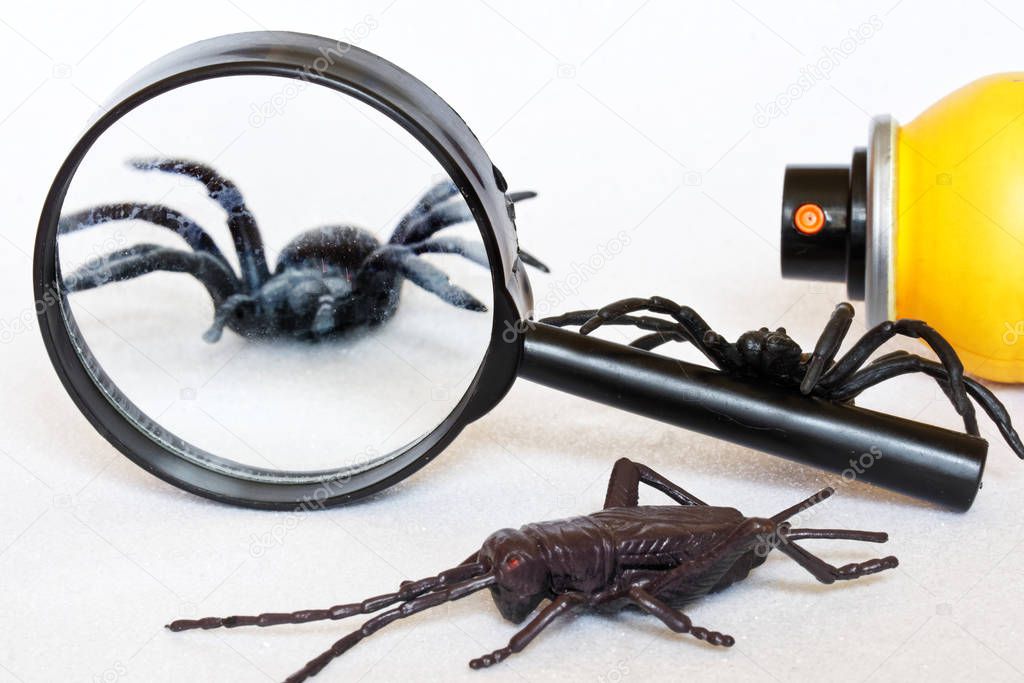 Plastic insects - locusts and spiders next to a magnifying glass