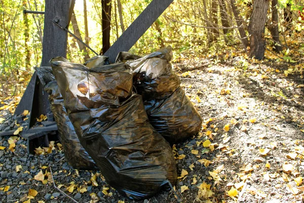 Plastiktüten gefüllt mit gelben Blättern und angezündet von der Herbstsonne — Stockfoto