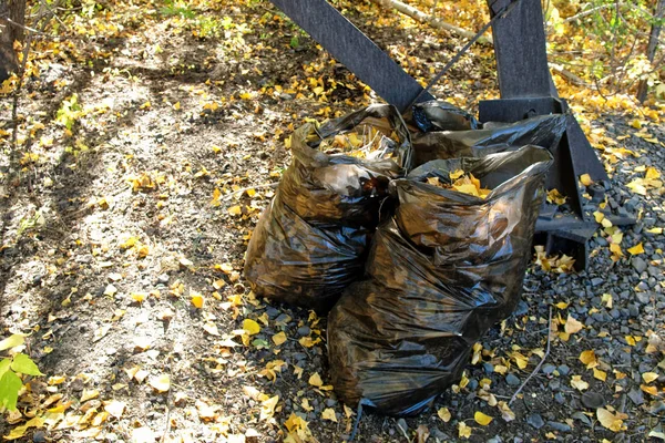 Black plastic bags filled with yellow autumn leaves stand in a c