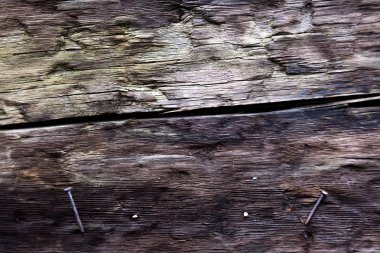 arka plan ağaç vintage