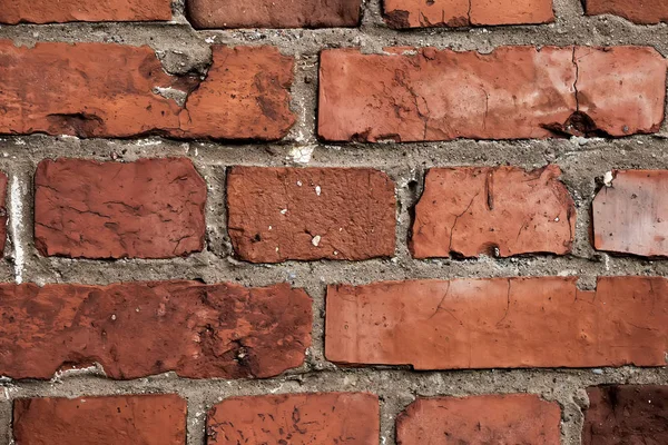 arka plan ağaç vintage