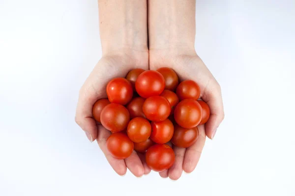 Tomaten isoliert auf Holz — Stockfoto