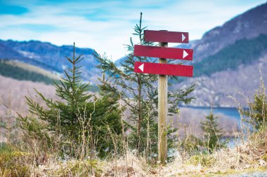 Yönünde bir işaret