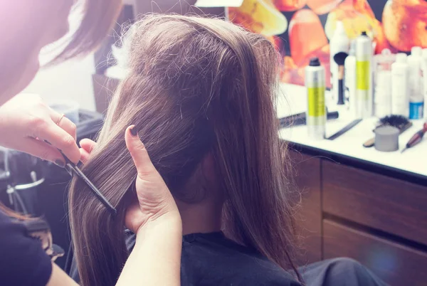 Penteados cabeleireiro no salão — Fotografia de Stock