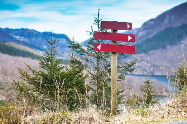 Yönünde bir işaret