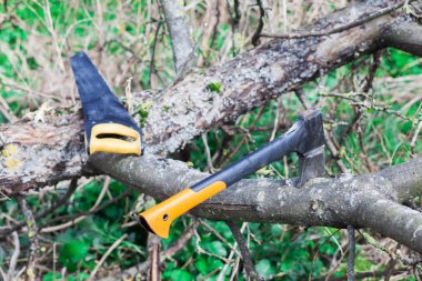 Bir balta ve chainsaw ağaca vardır