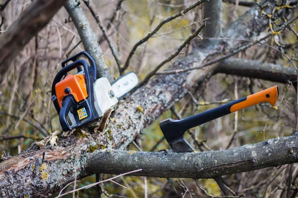 An axe and chainsaw are on the tree — Stock Photo, Image