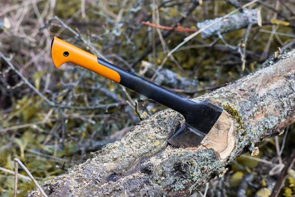 An axe and chainsaw are on the tree — Stock Photo, Image