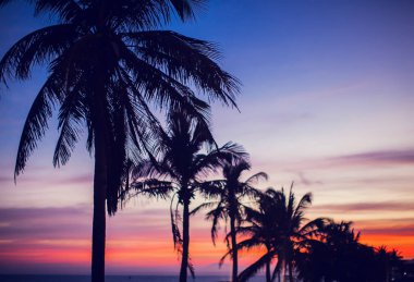 Palmiye ağaçları gün batımında altın mavi gökyüzü arka ışığı