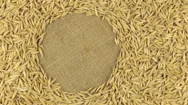 Rotação dos grãos de aveia deitado sobre pano de saco com espaço para o seu texto — Vídeo de Stock