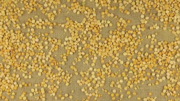 Approximation of dried peas grains scattered on burlap — Stock Video