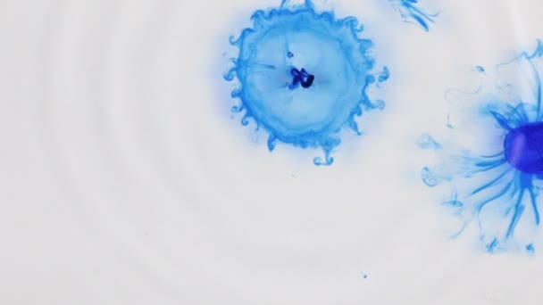 Vackra färgglada bläck i vatten, bläck droppa. Fallande blått bläck i vatten med vit bakgrund. — Stockvideo