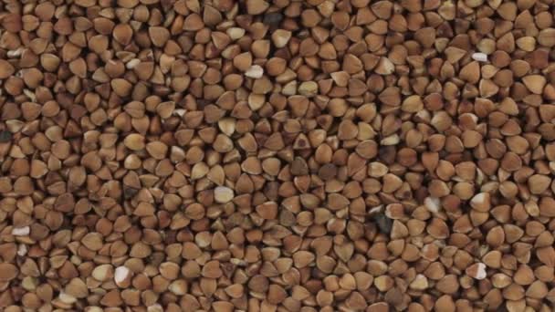 Panorama horizontal de granos de trigo sarraceno, antecedentes alimentarios . — Vídeos de Stock