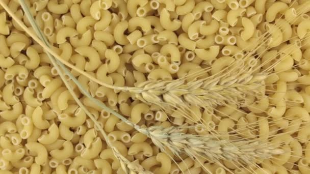 Rotation av spikelets av vete liggande på pasta. — Stockvideo