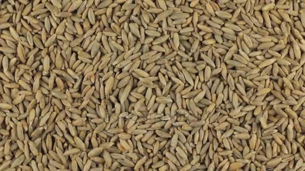 Slow rotation of the heap of rye grains. — Stock Video