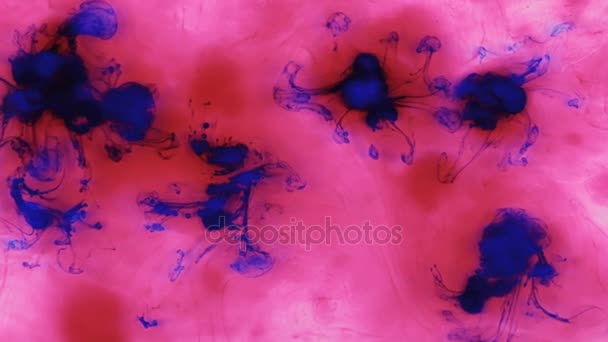 Beautiful colorful ink in water, ink drop. Approximation the blue ink drop in red paint. — Stock Video
