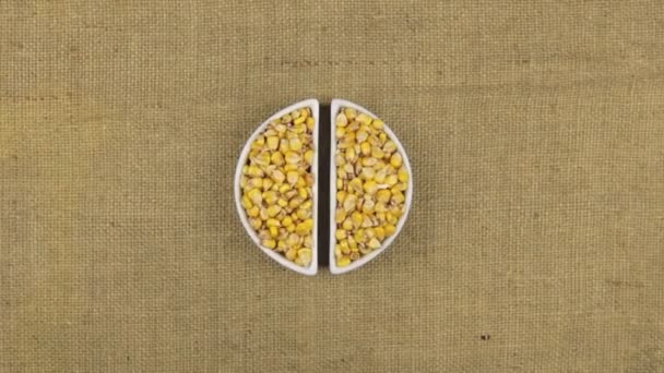 Zoom dish with corn grains and spikelets of wheat lying on sackcloth. — Stock Video