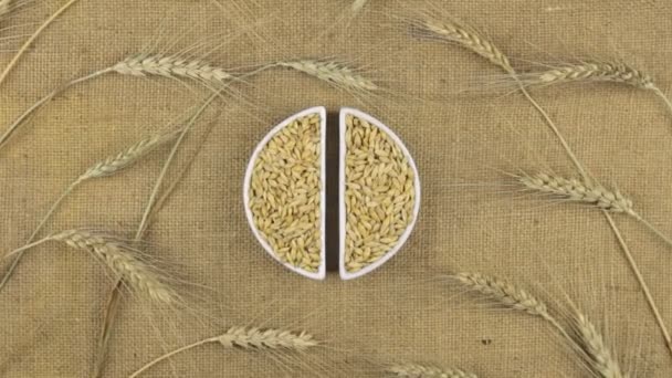 Plat Zoom avec grains d'orge et épillets de blé couchés sur un sac . — Video