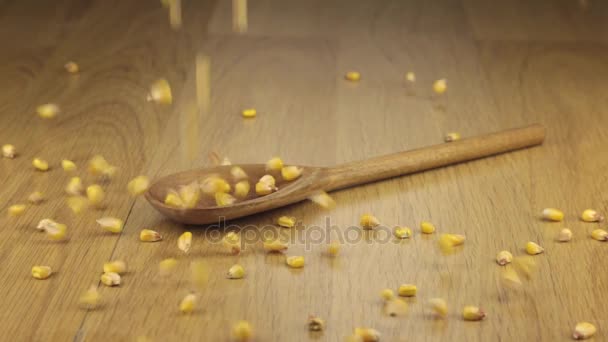 Grano de maíz que cae sobre la cuchara de madera que yace sobre una superficie de madera . — Vídeo de stock