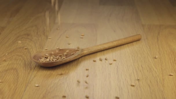 Weizenkorn fällt auf den Kochlöffel, der auf einer Holzoberfläche liegt. — Stockvideo