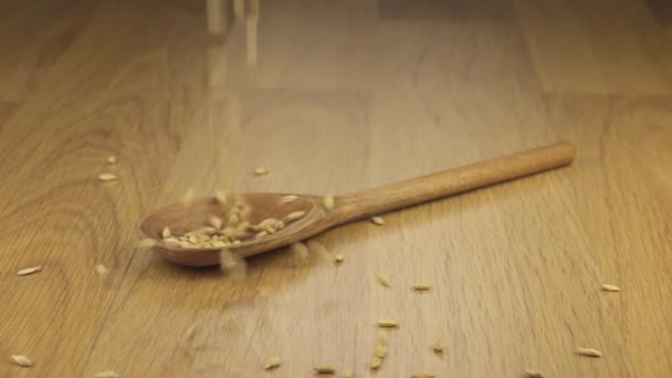 Grano de cebada cayendo sobre la cuchara de madera acostada sobre una superficie de madera . — Vídeos de Stock