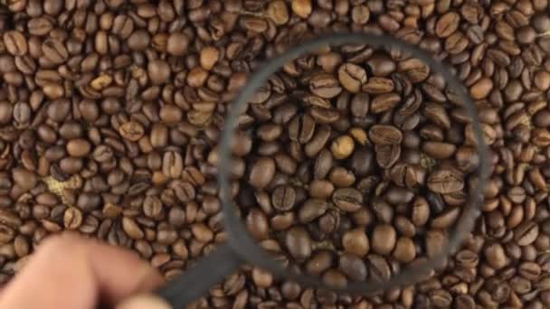 Examen utilizando una lupa giratoria granos de café . — Vídeos de Stock