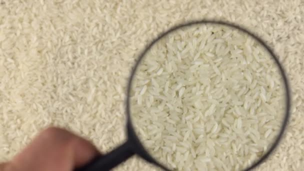 Εξέταση χρησιμοποιώντας ένα μεγεθυντικό φακό περιστρεφόμενη ρύζι Grains (Κόκκοι). — Αρχείο Βίντεο