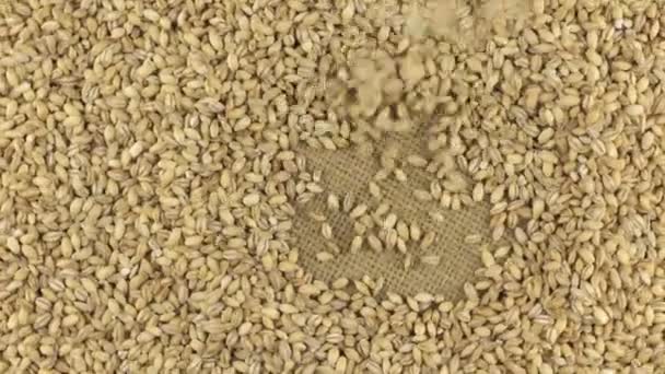 Falling pearl barley grains on the rotating circle of pearl barley lying on sackcloth. — Stock Video