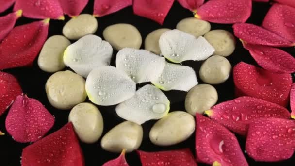 Zoom heart of the stones and rose petals with dew drops. — Stock Video