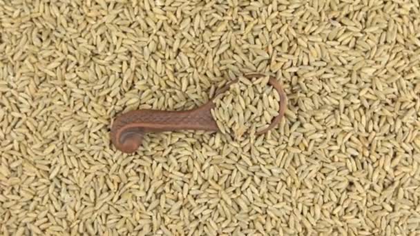 Rotação e zoom de centeio em uma colher de barro deitado no fundo de sementes de centeio . — Vídeo de Stock