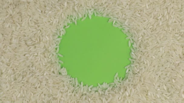 Rotation of the rice grains lying on a green screen, chroma key. — Stock Video