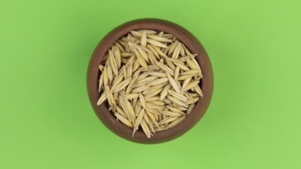 Rotación del grano de avena en una maceta aislada en pantalla verde . — Vídeos de Stock