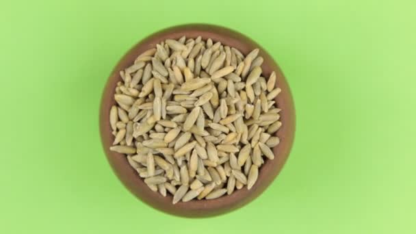 Rotation of the grain of rye in a pot isolated on green screen. — Stock Video