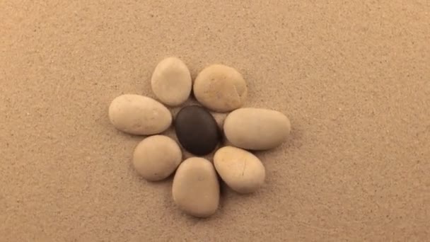 Rotation der Steine in Form einer Blume, die auf dem Sand liegt. Konzept. — Stockvideo