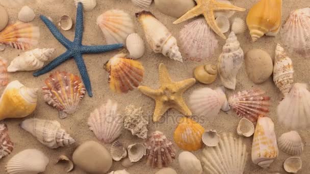 Rotatie van schelpen, zeesterren en witte stenen op zand. — Stockvideo