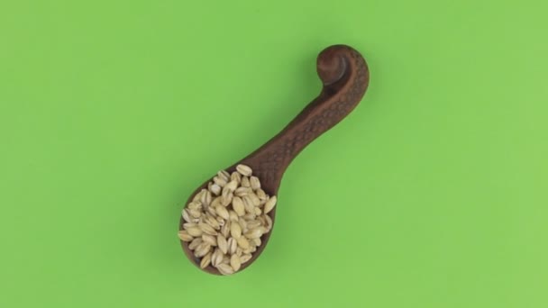 Rotación de una cuchara de barro con grano de cebada perlada. Clave de croma . — Vídeos de Stock