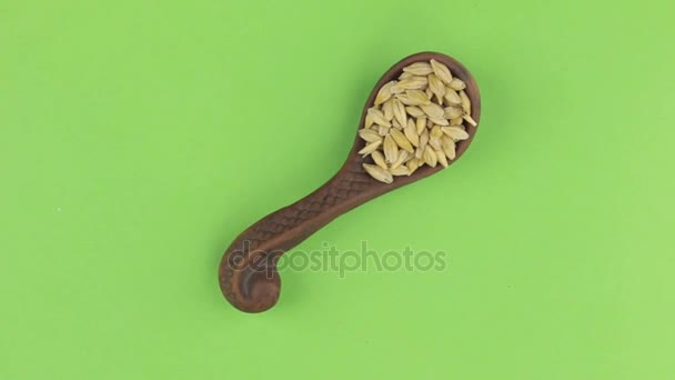 La rotación de la cuchara de barro con el grano de cebada. Clave de croma . — Vídeos de Stock