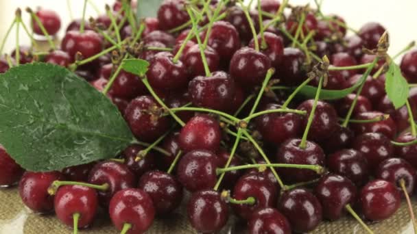 Zoom de un montón de cerezas rojas en gotitas de rocío. Primer plano . — Vídeo de stock