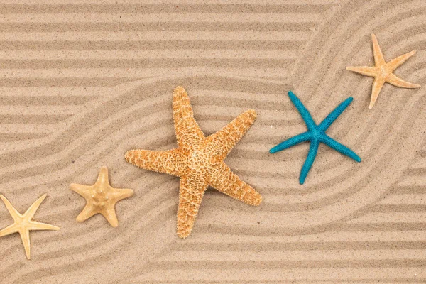 Αστερίες και ένα ζιγκ-ζαγκ από την άμμο. — Φωτογραφία Αρχείου