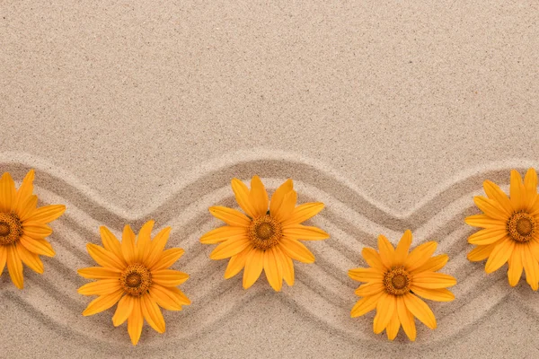Frame of yellow daisies on wavy sand. Beautiful photo. — Stock Photo, Image