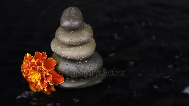 Wind blowing on a pyramid and a flower. — Stock Video