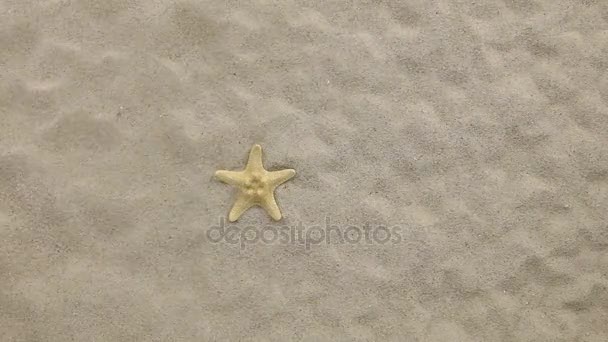 Wind blowing on the yellow starfish and erases its prints, top view. — Stock Video