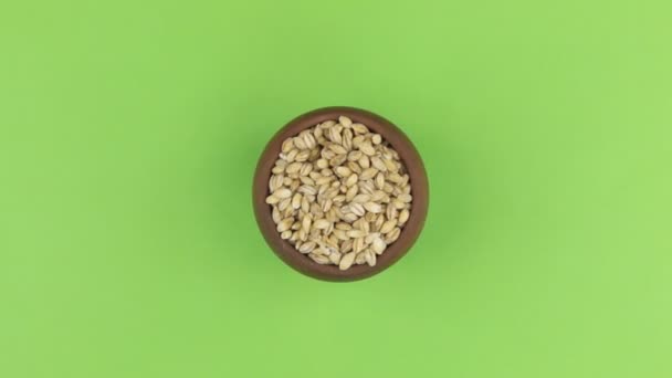 Увеличение глиняного горшка, наполненного зерном ячменя жемчуга. Изолированный зелёный экран . — стоковое видео
