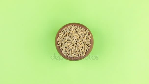 Zooma i en lerkruka fylld med råg korn. Isolerade grön skärm. — Stockvideo