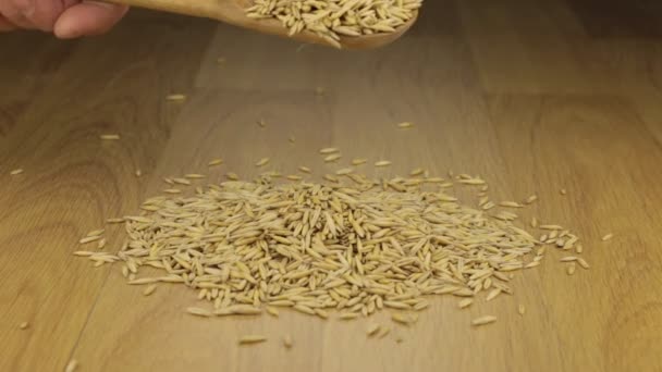 La mano vierte rápidamente los granos de avena de una cuchara de madera en un montón de avena . — Vídeo de stock