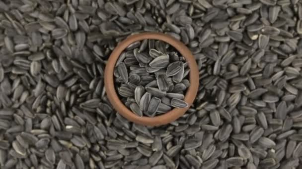 Rotation and approaching of sunflower seeds in a clay pot, standing on the background of sunflower seeds. — Stock Video