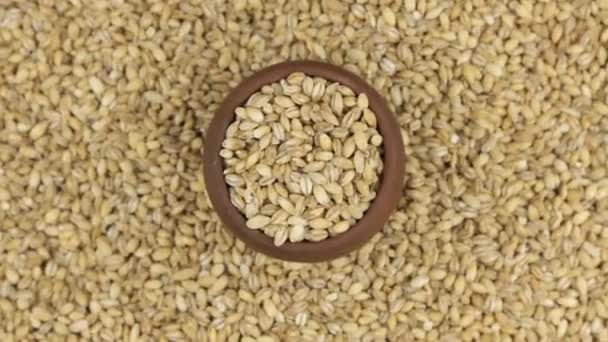 Rotation and approaching of pearl barley in a clay pot, standing on the background of pearl barley seeds. — Stock Video