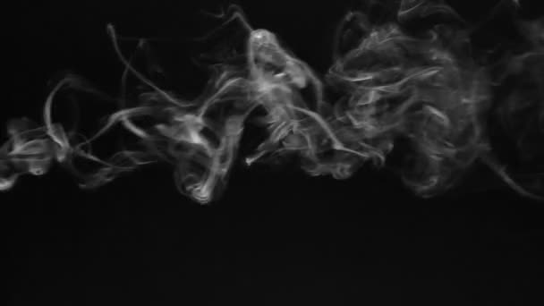 Beyaz duman siyah bir arka plan üzerinde halkalar şeklinde. — Stok video