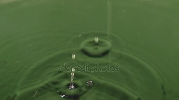 Close-up falling drops of rain in green water. — Stock Video