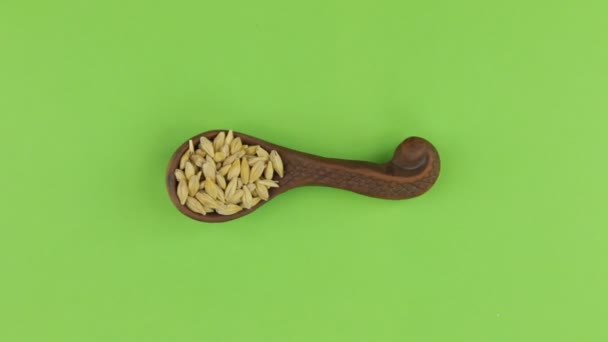 Zoom of a clay spoon with barley grain. Chroma key, green screen. — Stock Video